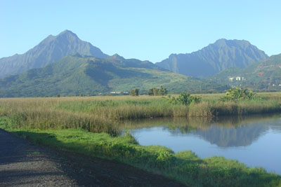 Kawainui Marsh